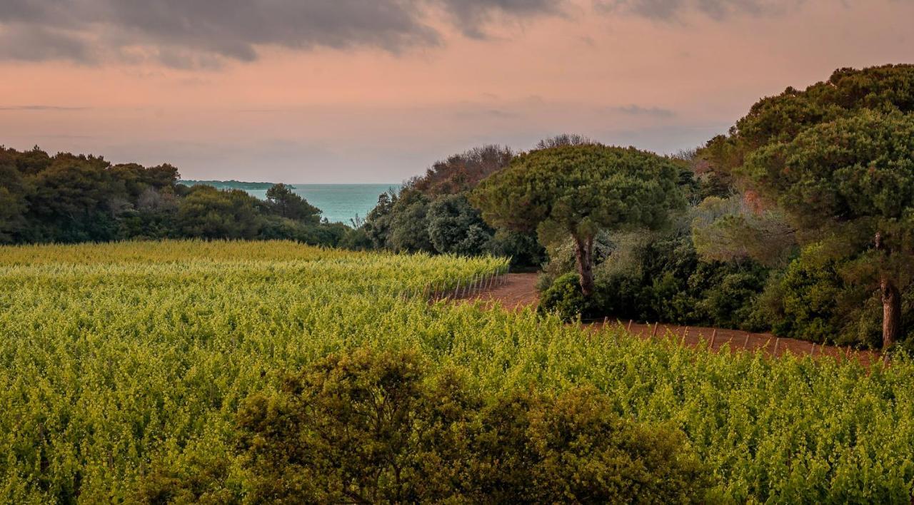 Masseria Mongio Dell'Elefante Отранто Экстерьер фото