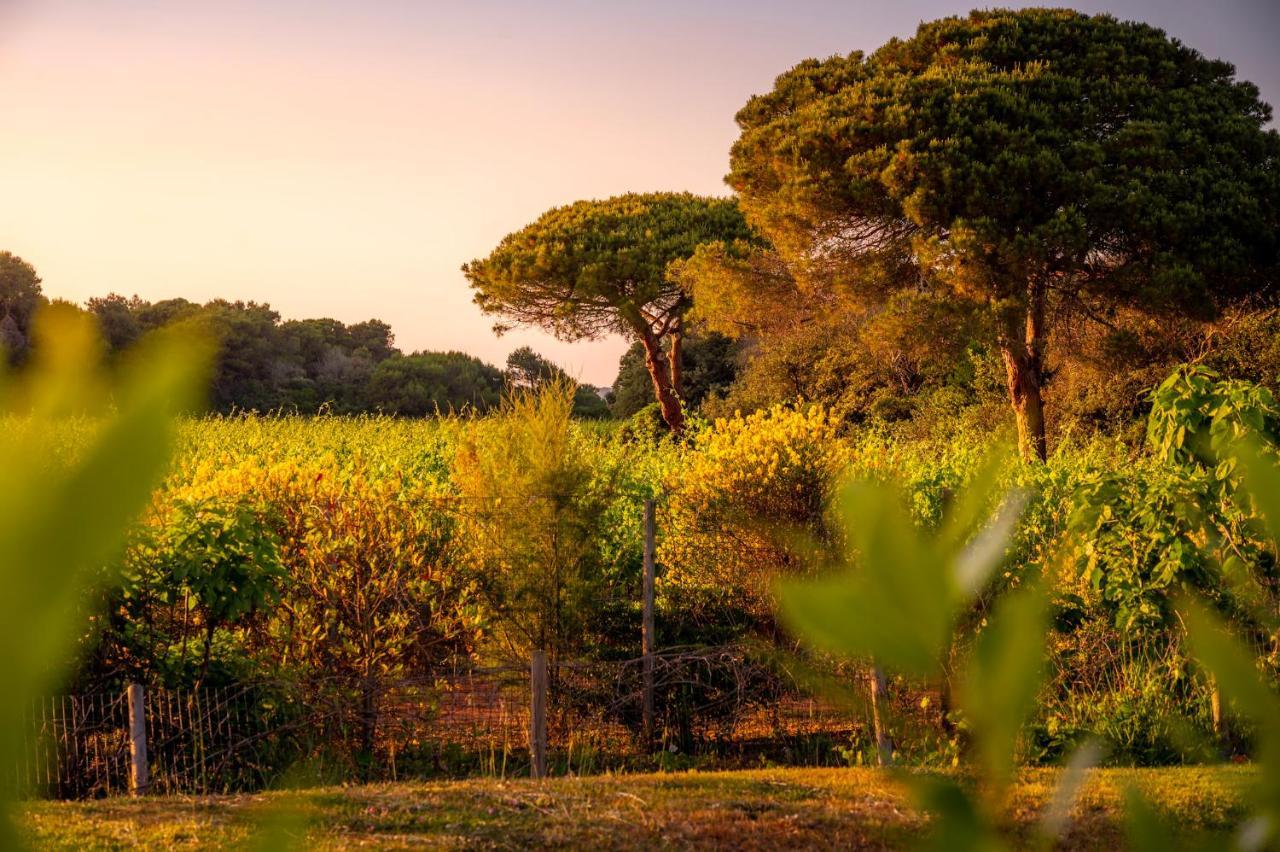 Masseria Mongio Dell'Elefante Отранто Экстерьер фото